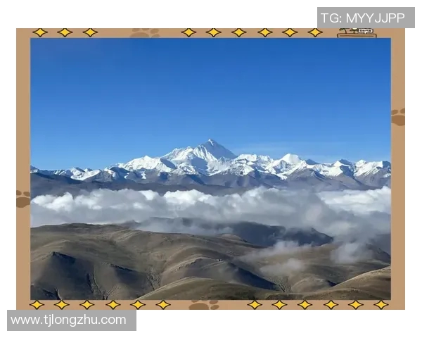 青海卫视全新节目上线探索美丽青海的自然与人文魅力