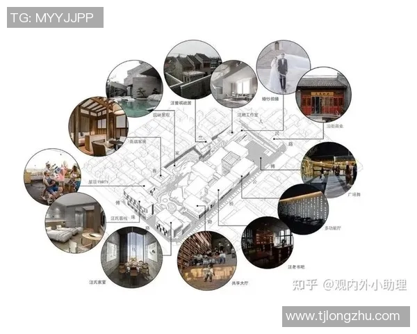 探索多曼的魅力与价值:从历史渊源到现代应用的全景分析