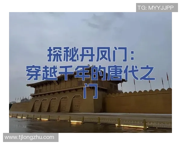 布莱克尼的魅力探秘：揭开这座城市的历史与文化面纱